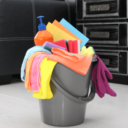 Bucket full of cleaning supplies | Professional cleaners Lake County FL
